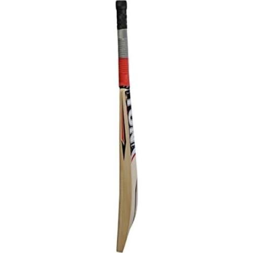 Bate de Cricket SS Ton Maximus Madera de Kashmir Adulto 1.23-1.28 kg