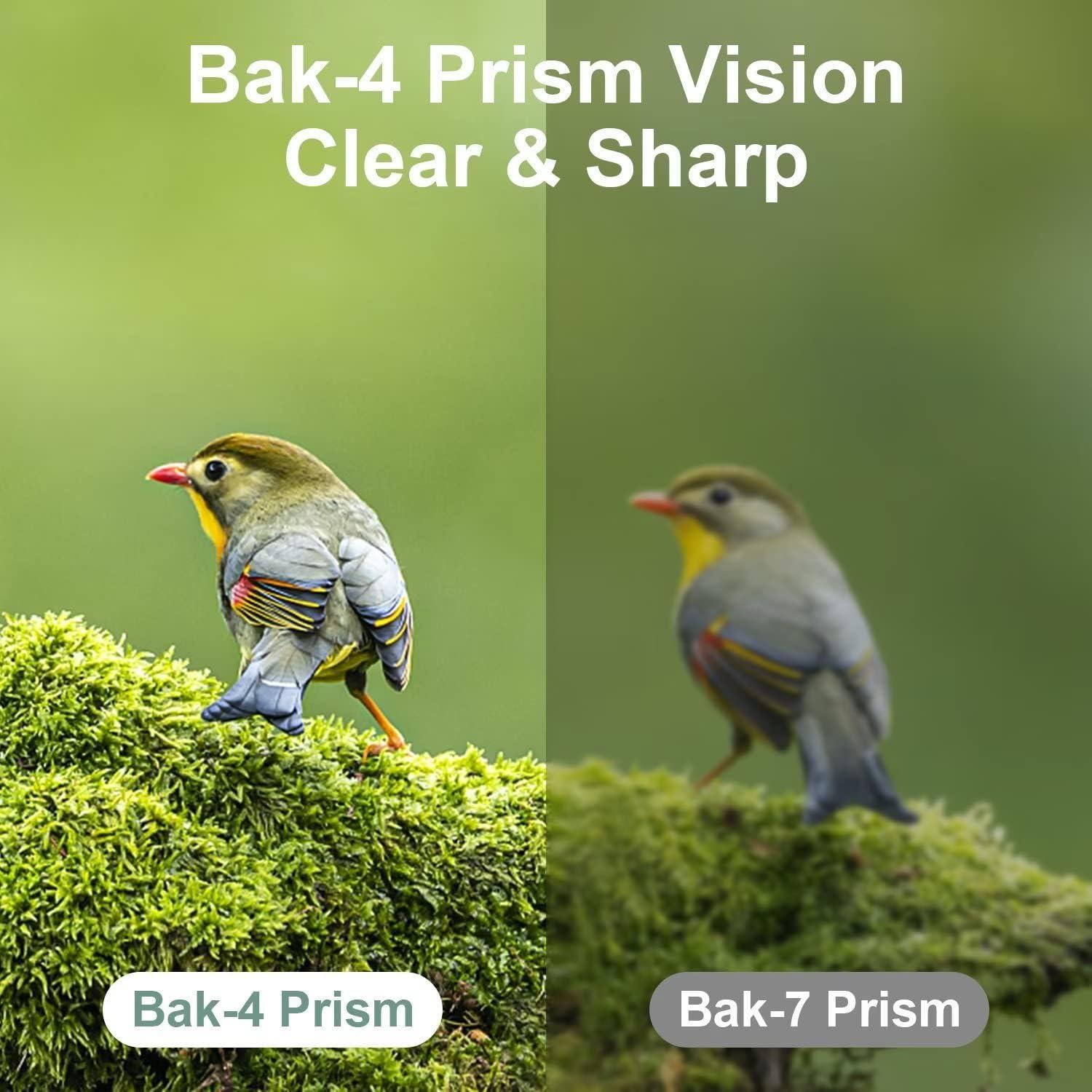 Binoculares Dranbol 12X25 Compactos para Observación