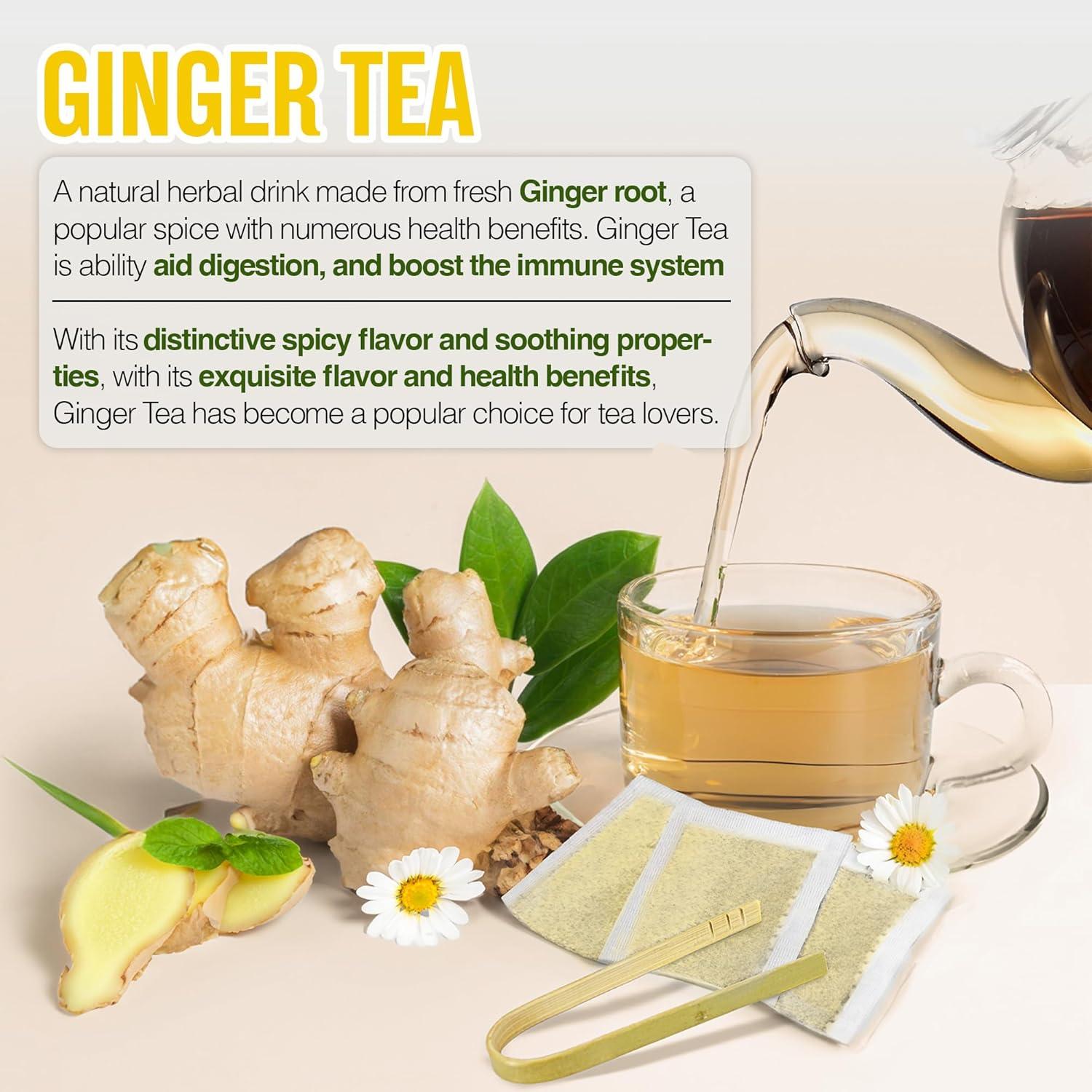 Bolsitas de Té de Jengibre VINAREEN - 50 Unidades - Natural y Orgánico