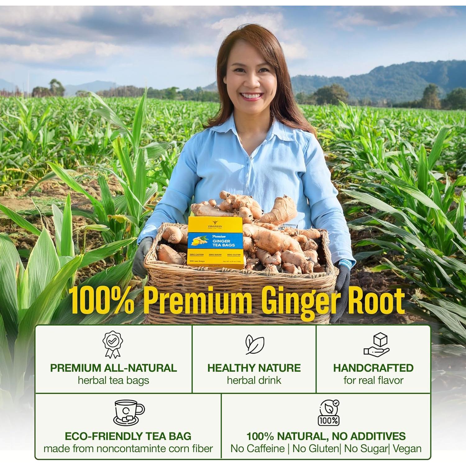 Bolsitas de Té de Jengibre VINAREEN - 50 Unidades - Natural y Orgánico