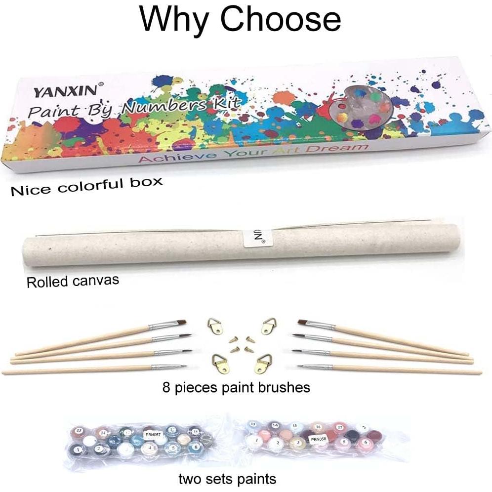 Kit de Pintura por Números YANXIN para Adultos - 2 Paquetes 40.64x30.48 cm