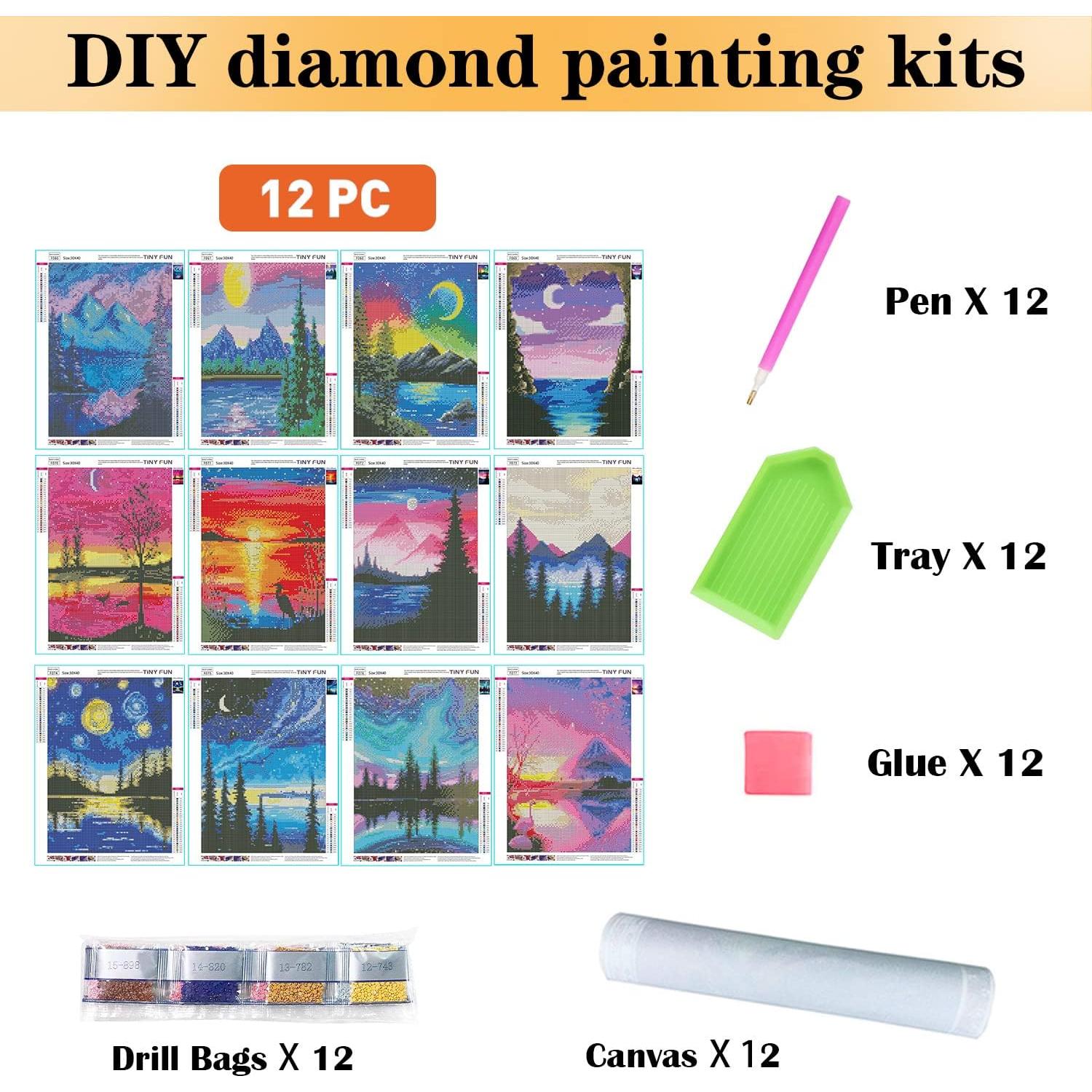 Kit de Pintura de Diamante TINY FUN 5D 12 Lienzos 30x40cm