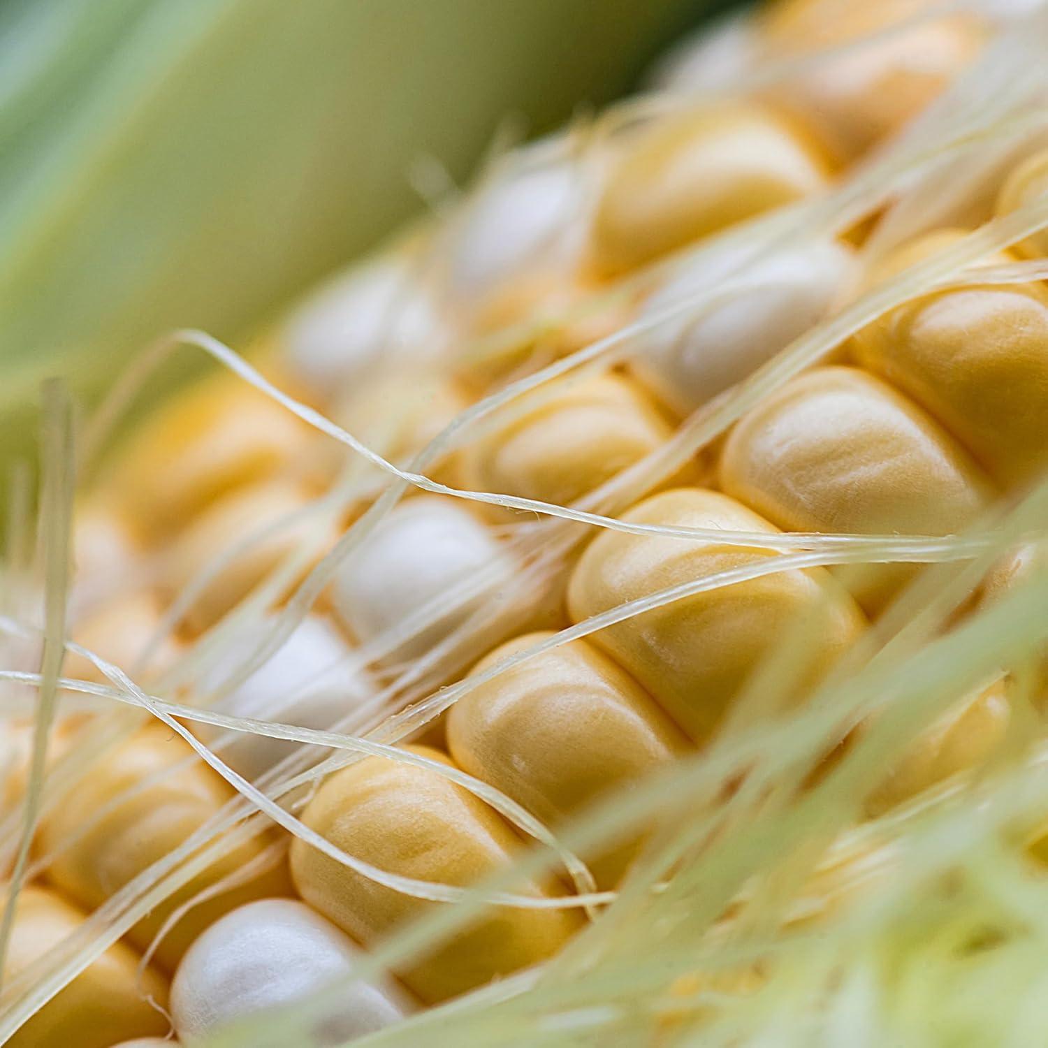 Extracto de Seda de Maíz Earthborn Elements 200 Cápsulas Puro