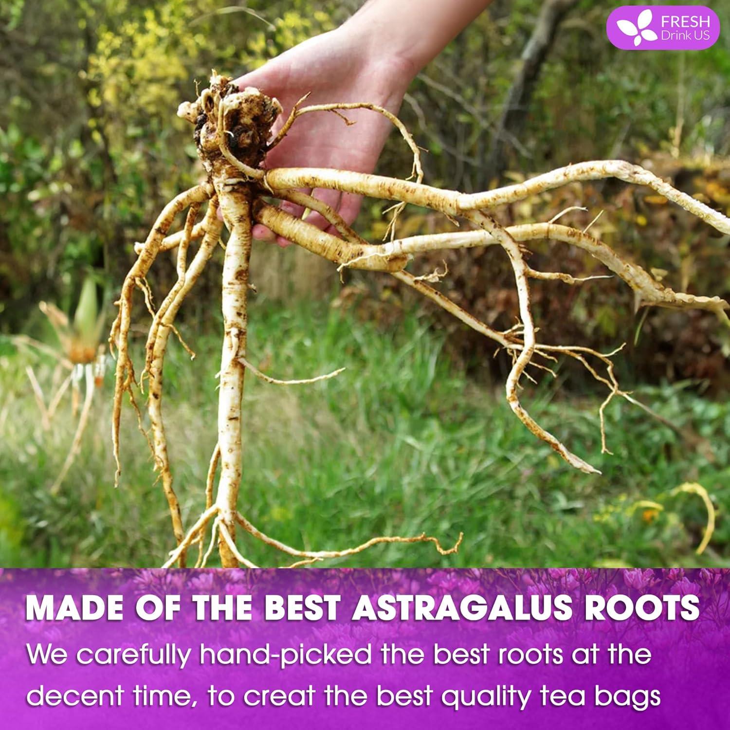 Té de Raíz de Astrágalo FreshDrinkUS - 55 Bolsitas 100% Natural