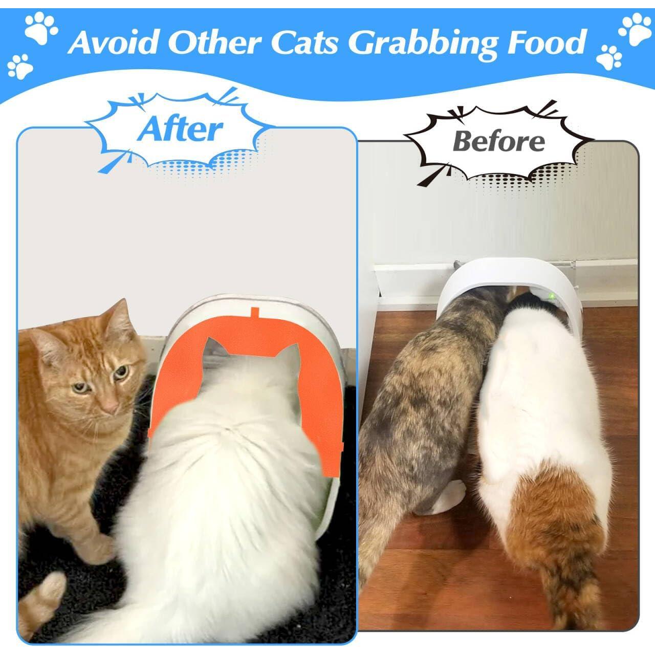 Cubierta Frontal GUSUCIN para Comedero Microchip Mascotas Naranja