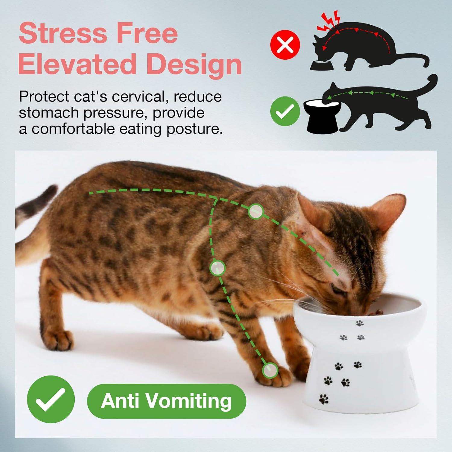 Tazón Elevado para Gato Necoichi - Cerámica Antivómito 1 Taza