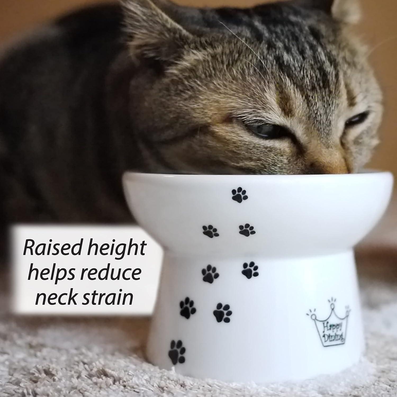 Tazón Elevado para Gato Necoichi - Cerámica Antivómito 1 Taza
