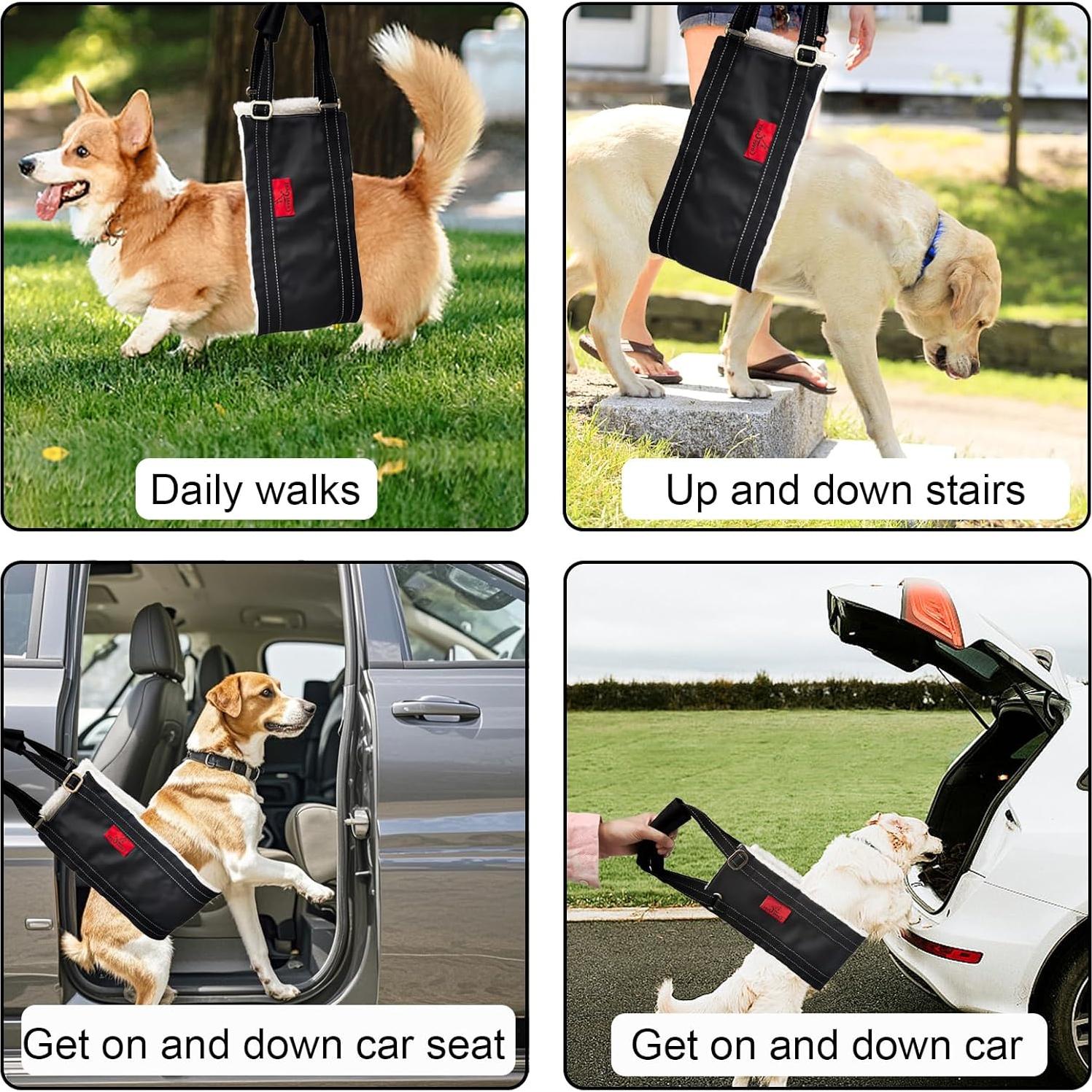 Arnés de elevación para perros pequeños Cover Geny S