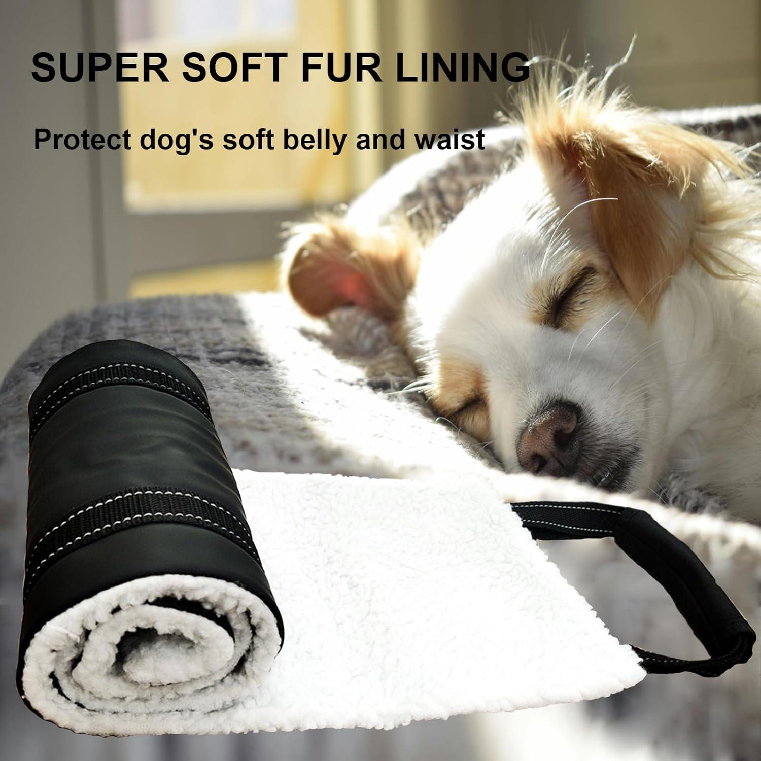 Arnés de elevación para perros pequeños Cover Geny S