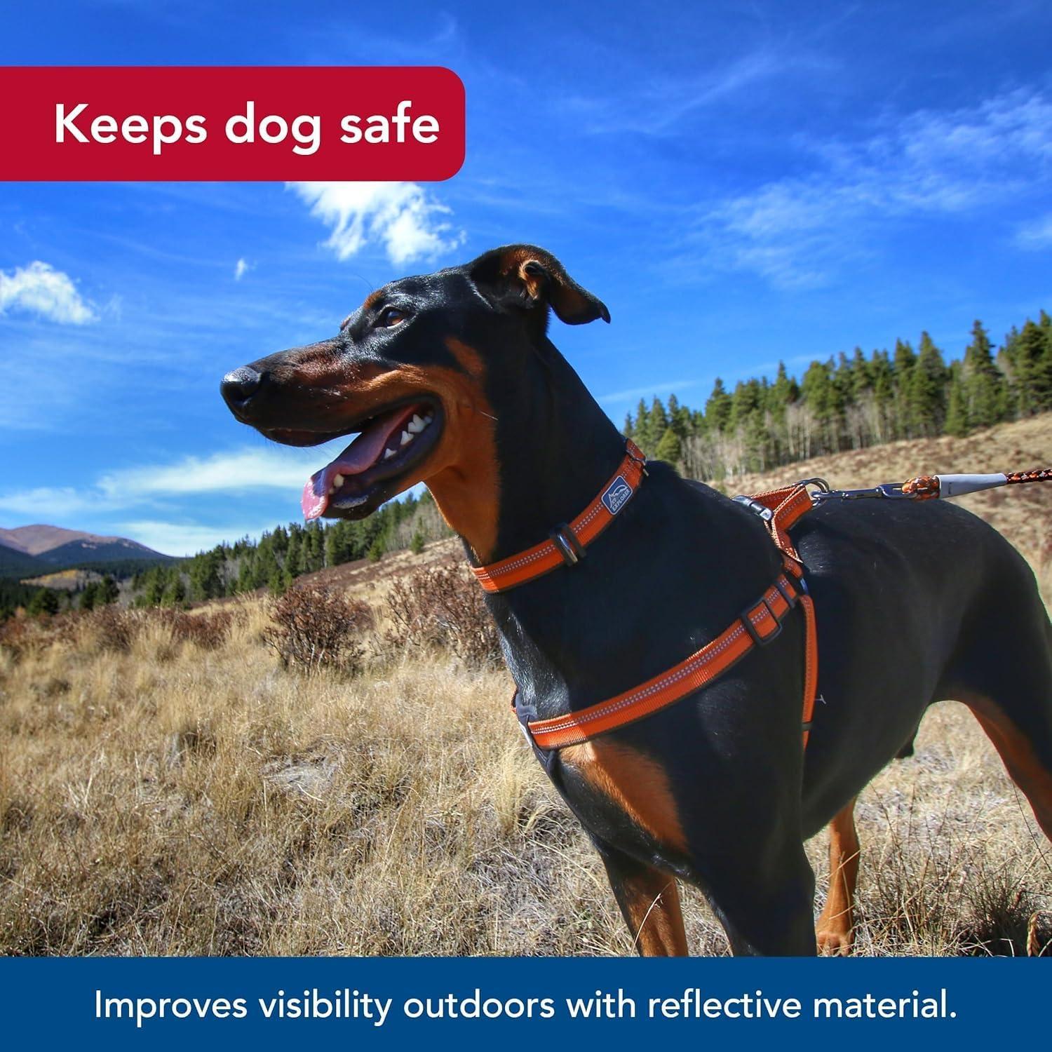 Arnés Reflectante Ajustable K9 Explorer Coastal Pet - Rosa
