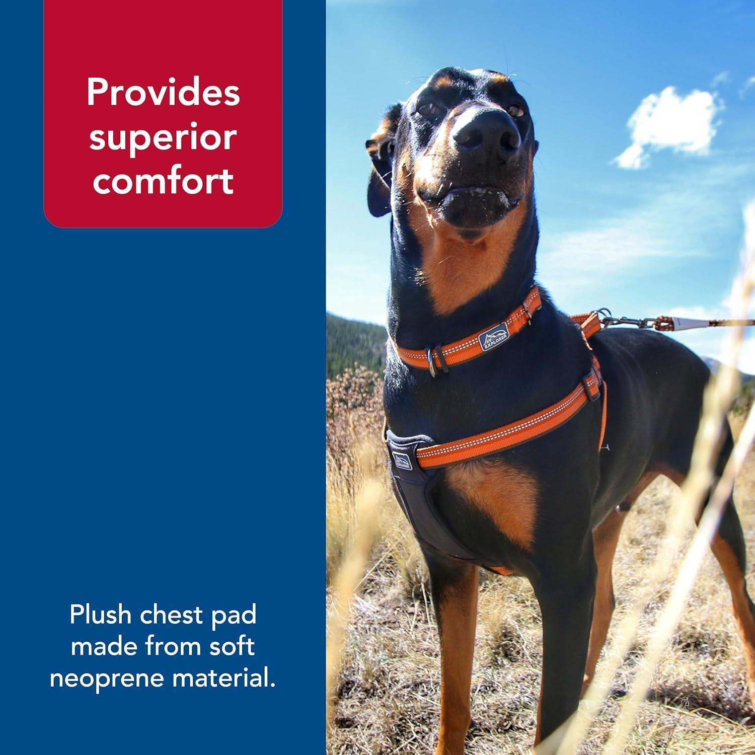 Arnés Reflectante Ajustable K9 Explorer Coastal Pet - Rosa