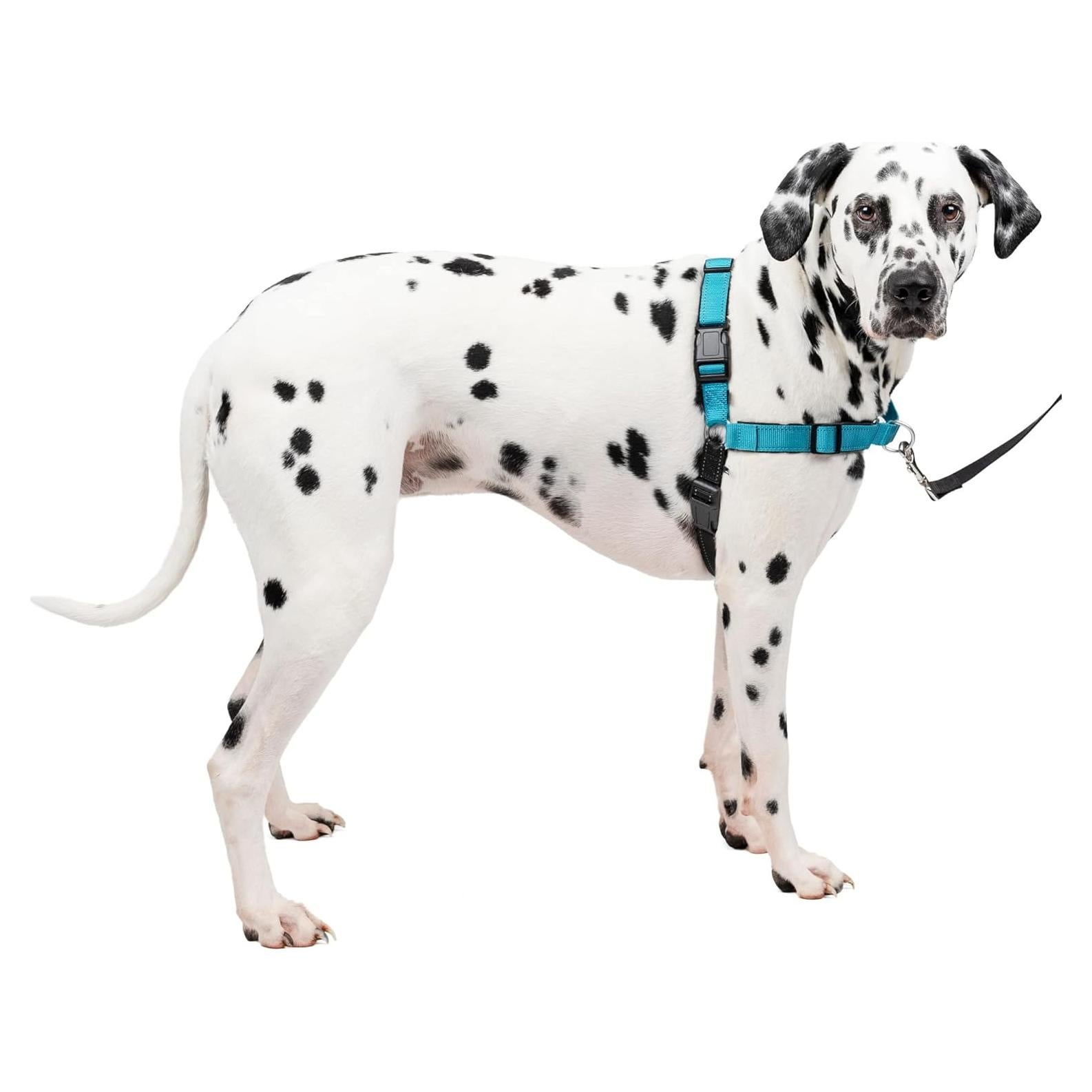 Arnés PetSafe Easy Walk Deluxe Grande Océano Sin Tirones