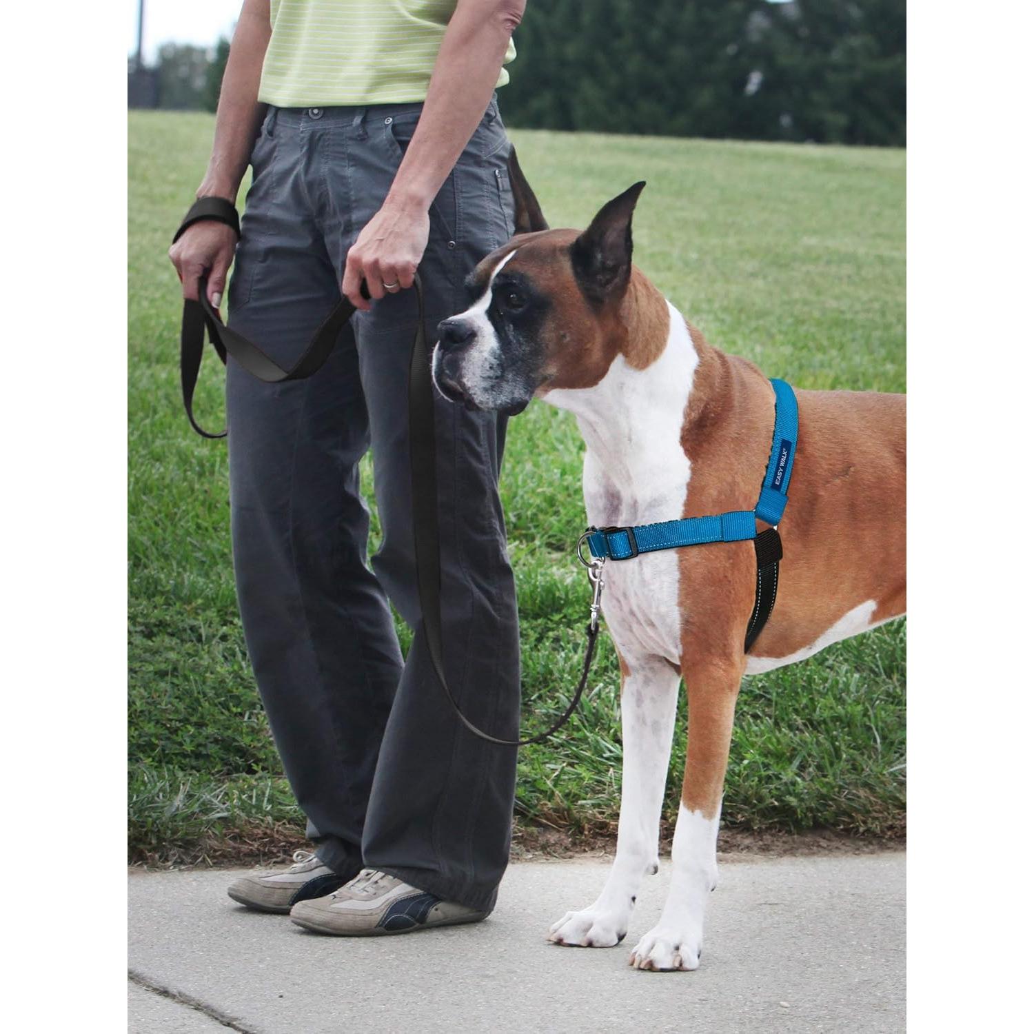 Arnés PetSafe Easy Walk Deluxe Grande Océano Sin Tirones
