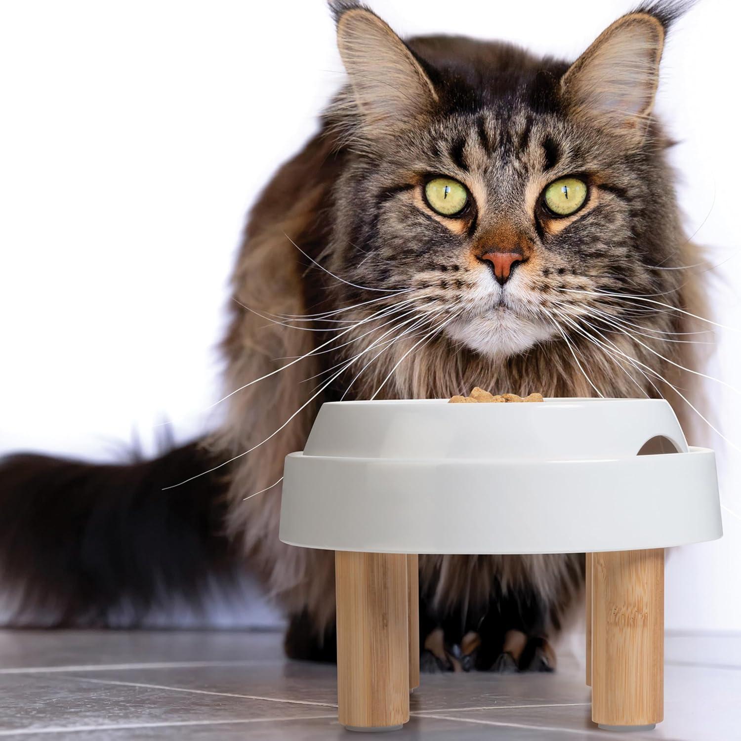 Mesa de Comida Elevada CatGuru para Gatos - Malvavisco Alto