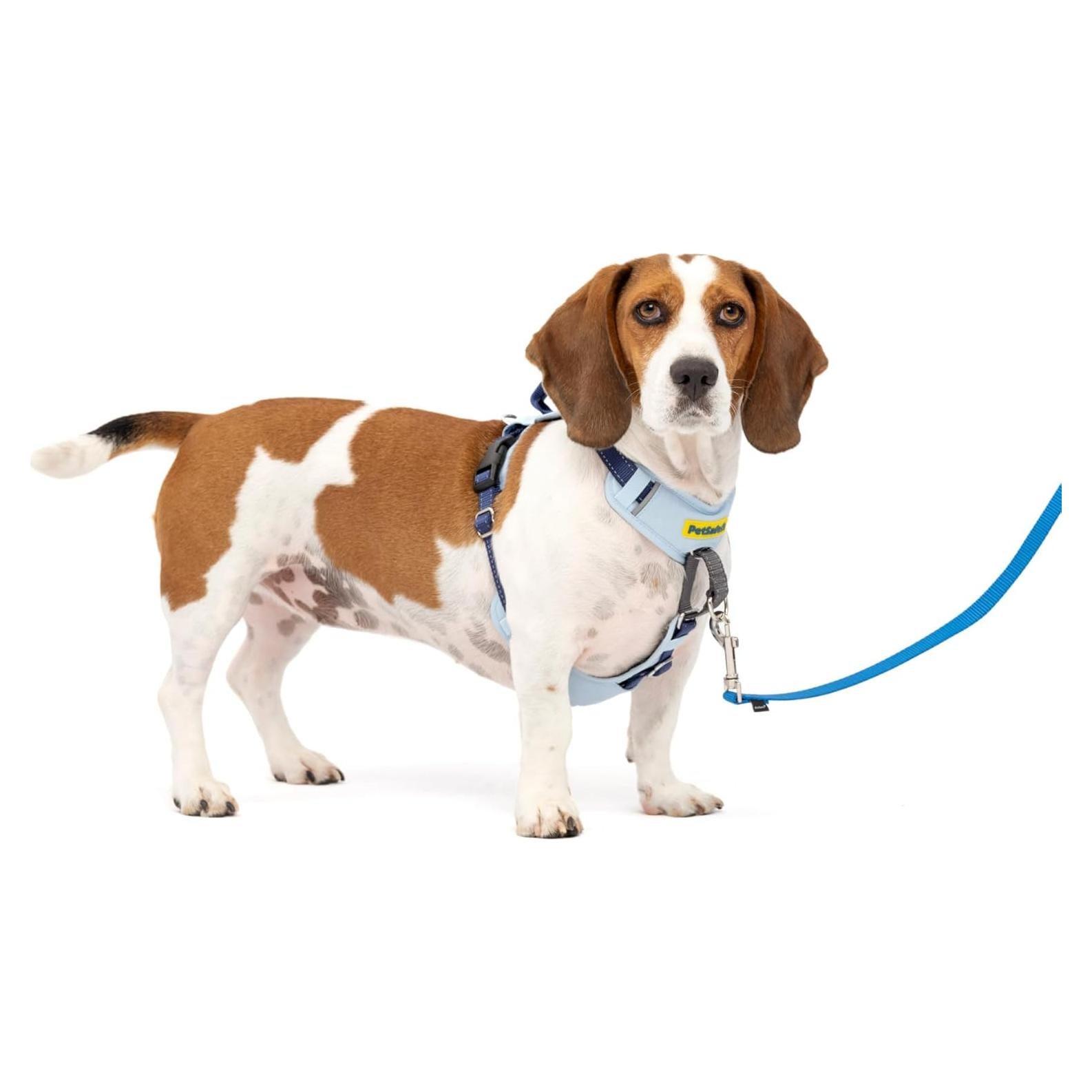 Arnés para Perros PetSafe Easy Walk Comfort Pequeño Azul