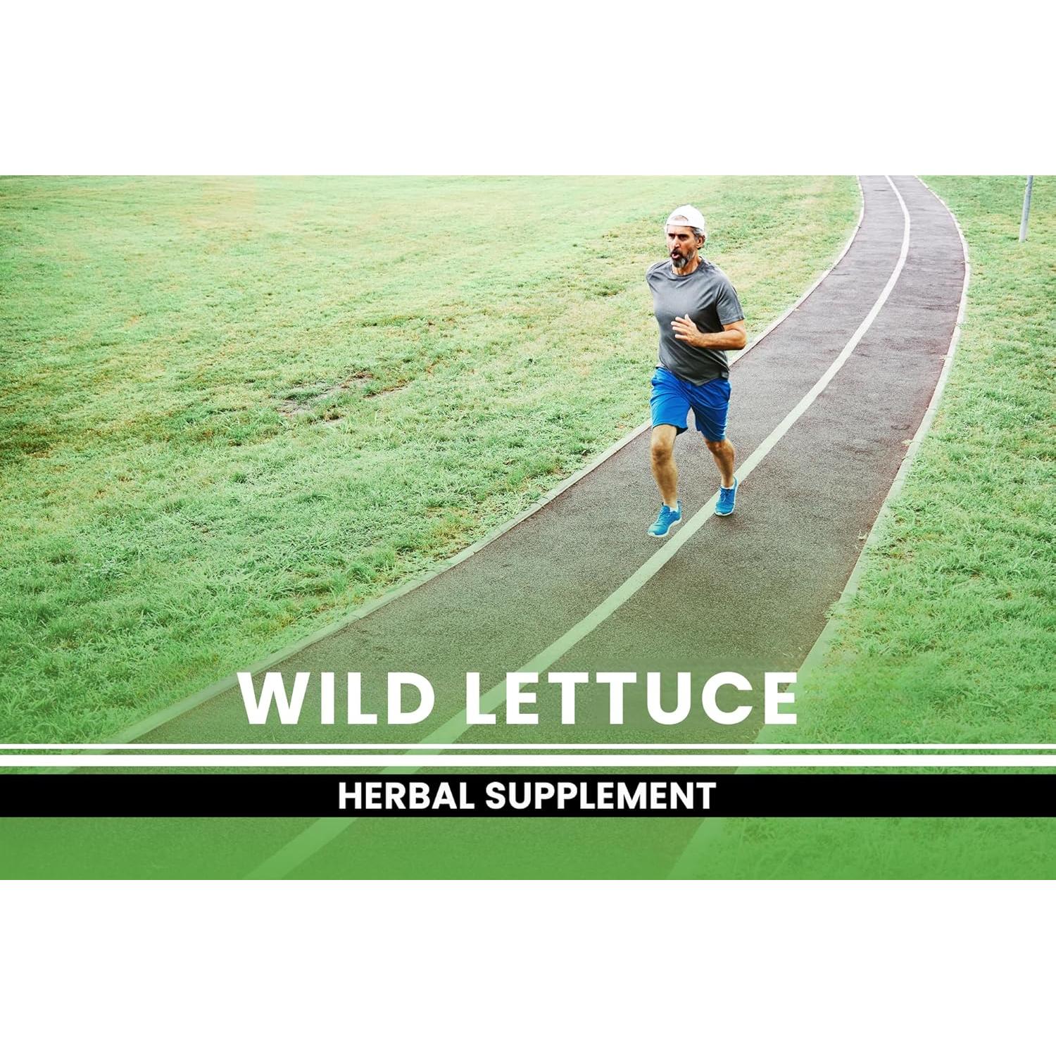 Cápsulas de Lechuga Silvestre INGREDIENTES ORIGINALES PUROS 365 Unidades