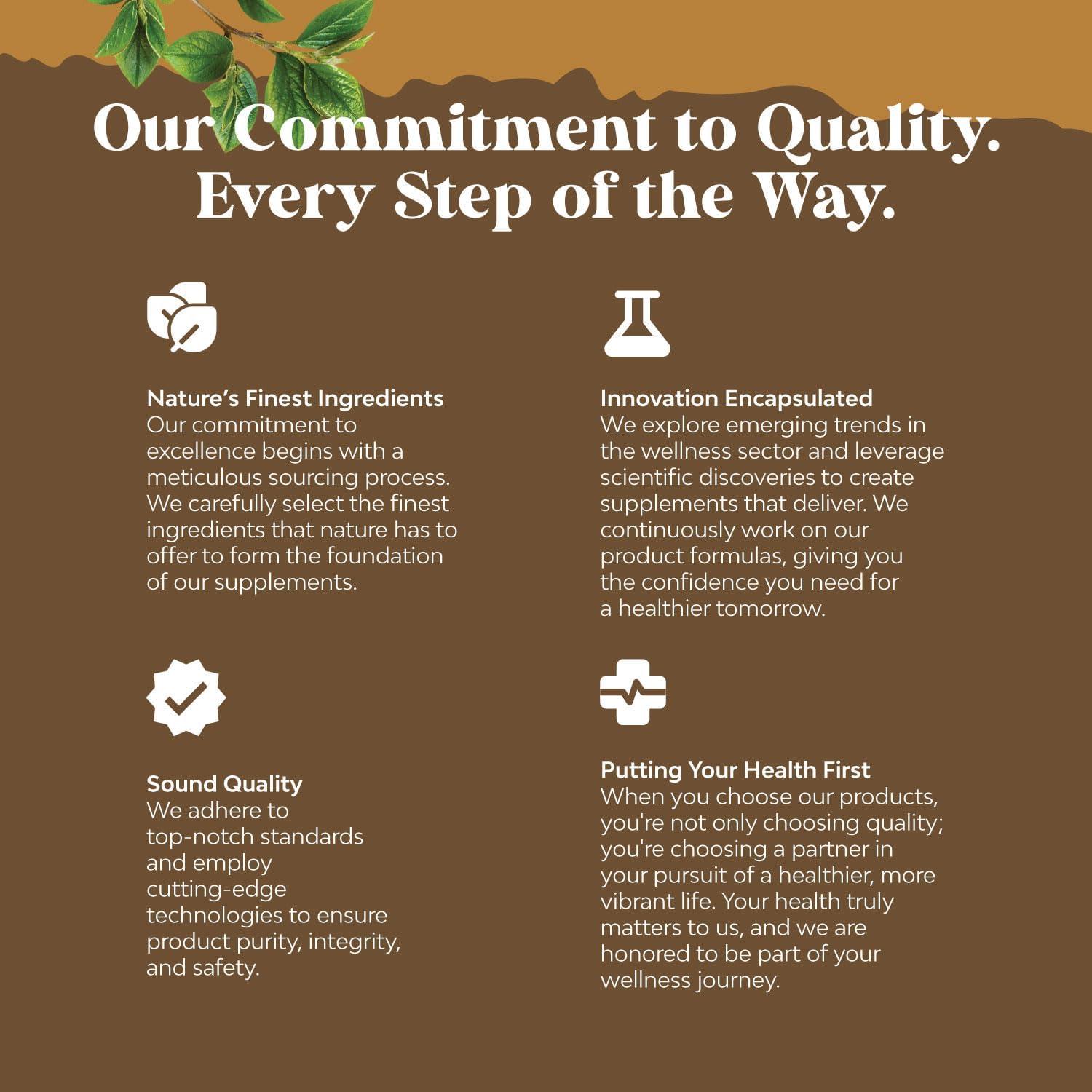 Suplemento Nootrópico Melena de León Natures Craft 30 Cápsulas