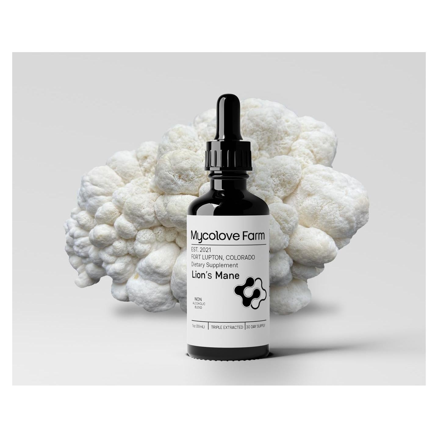 Tintura Orgánica Melena de León y Gotu Kola Mycolove 30ml