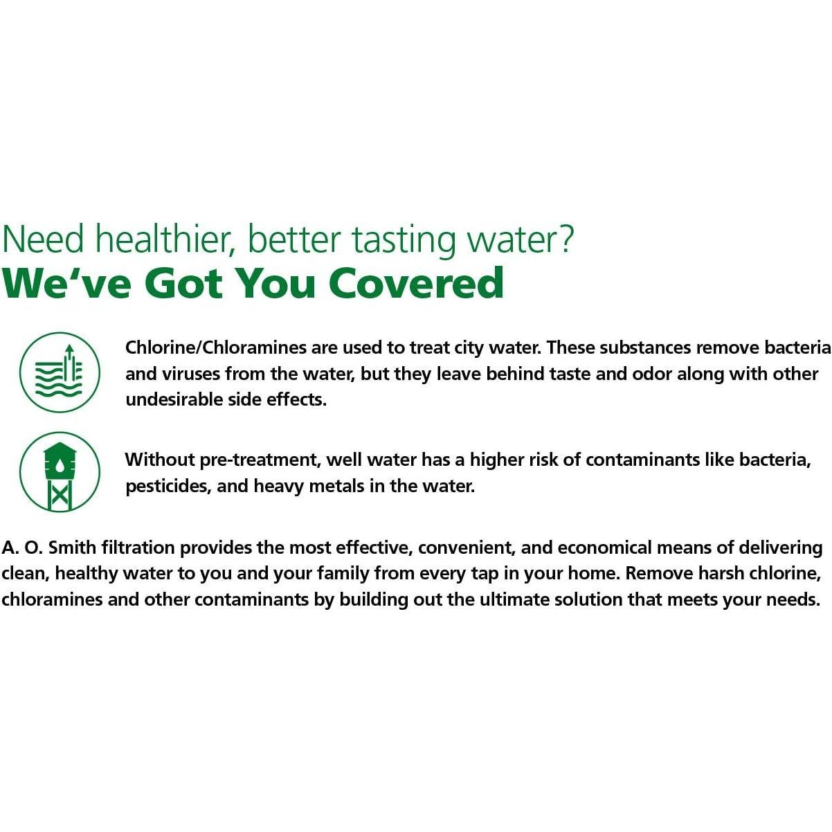 Filtro de Agua para Toda la Casa AO Smith AO-WH-Filter 6 Años