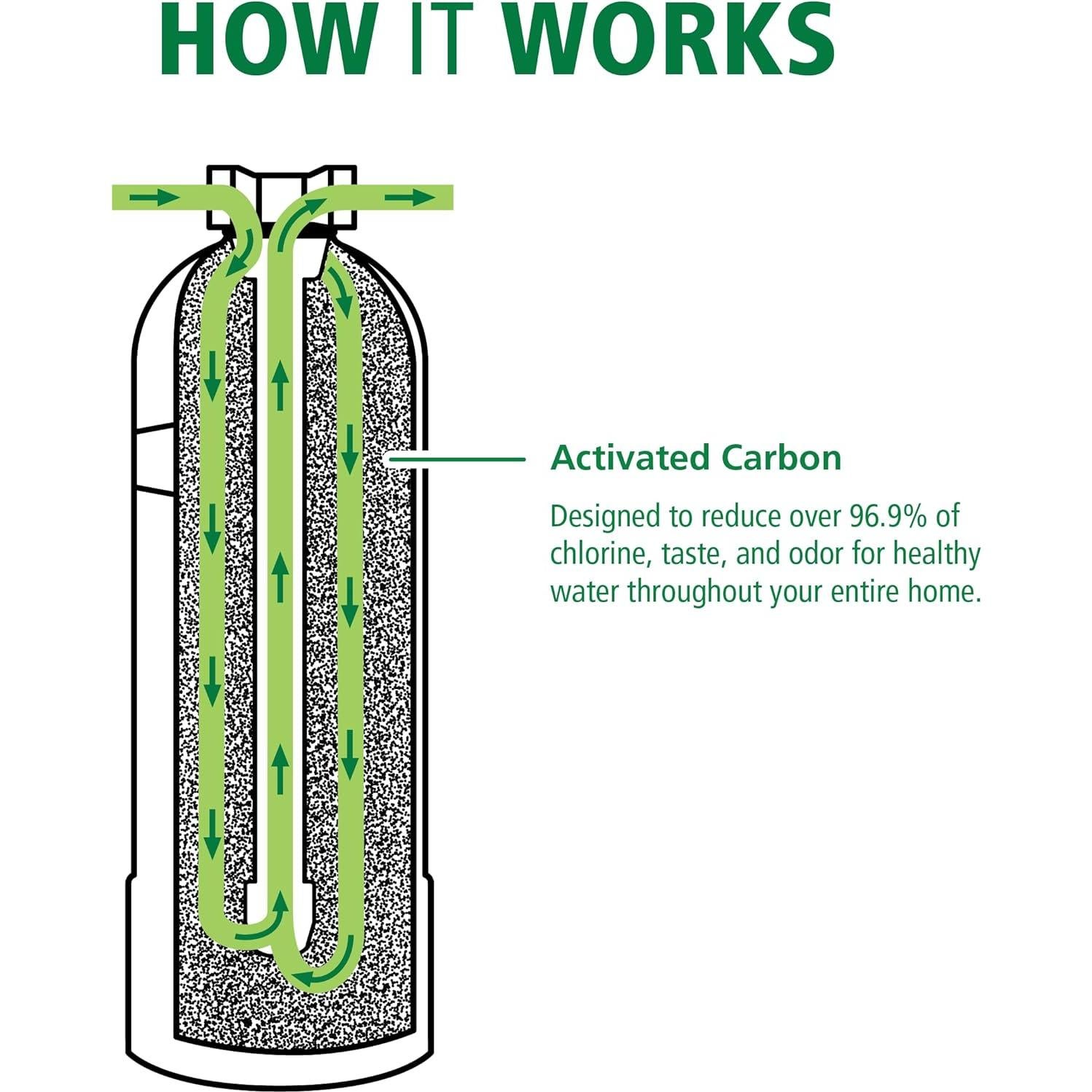 Filtro de Agua para Toda la Casa AO Smith AO-WH-Filter 6 Años