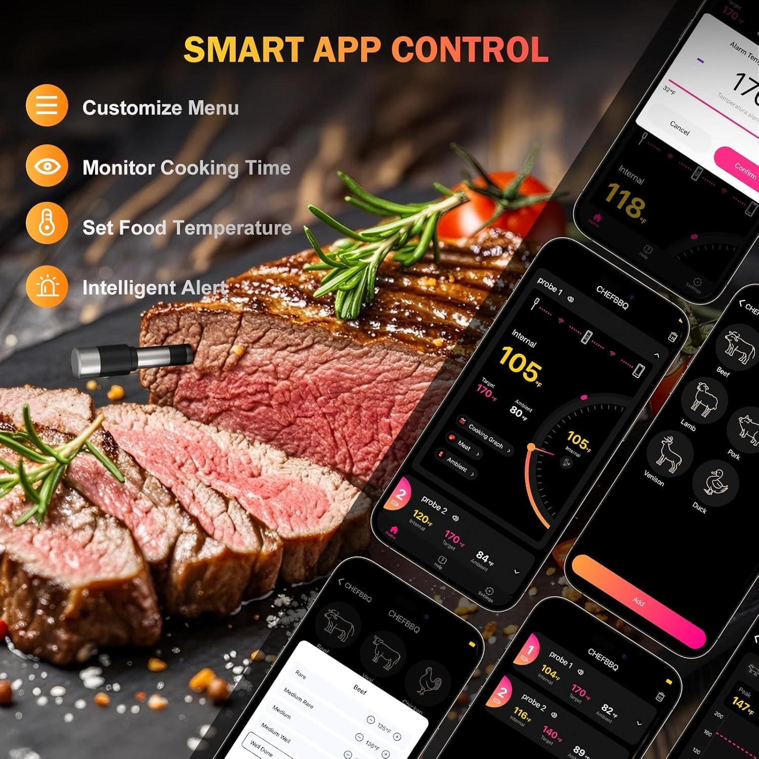 Termómetro de Carne Inalámbrico NoWoW BQ50-2 con 2 Probetas