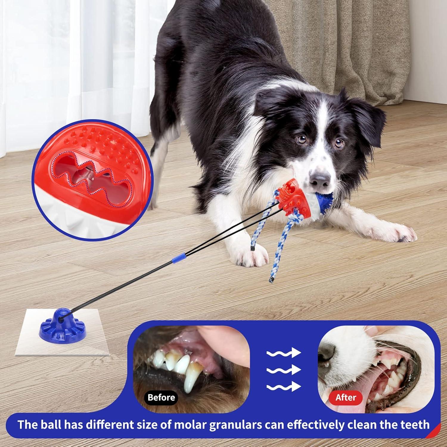 Juguete Interactivo para Perros Gootosee con Ventosa y Bola Dispensadora