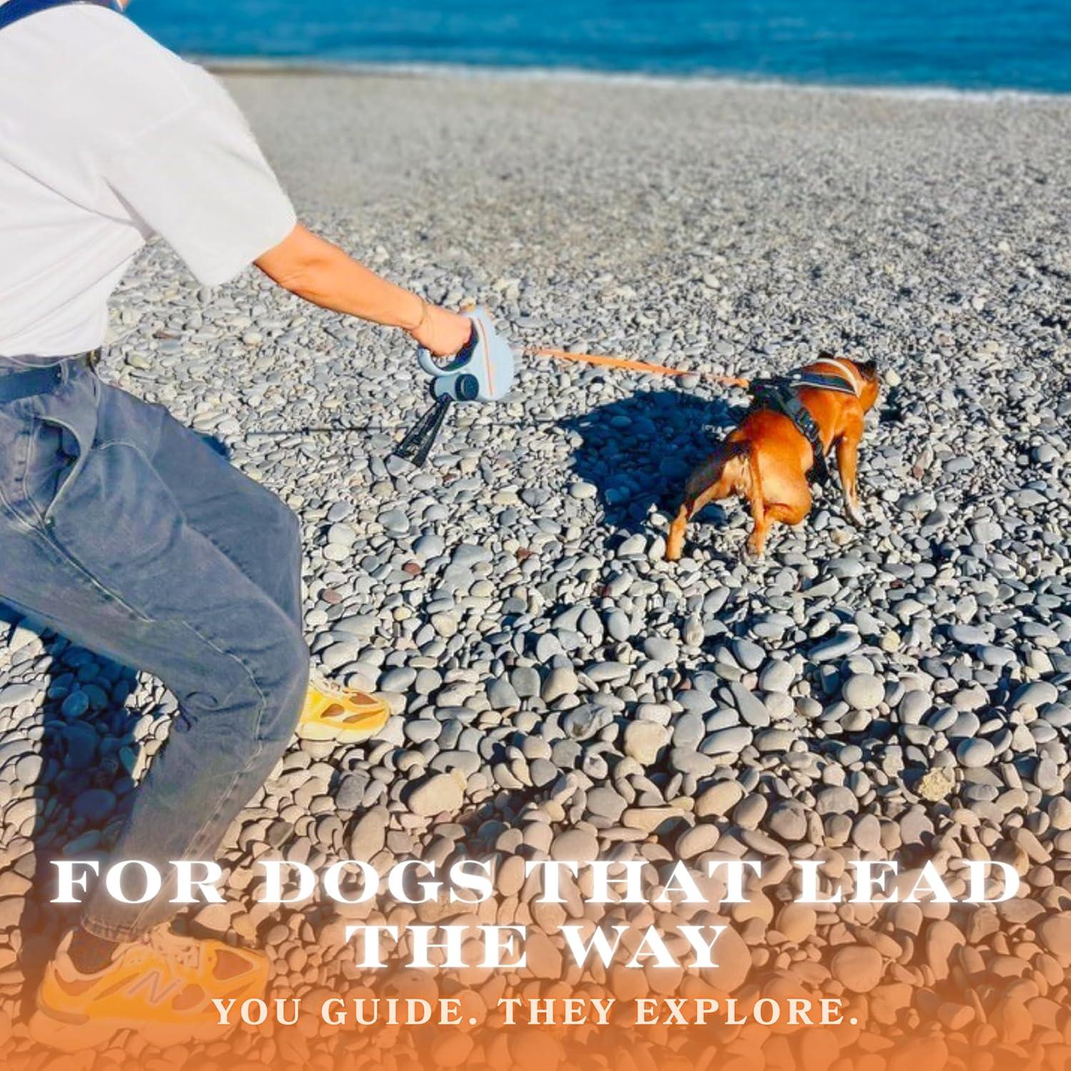 Correa Retráctil para Perros Snuggle Paws 4.88m Resistente