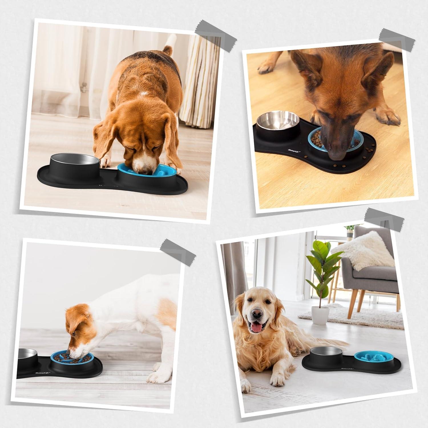 Juego de Platos para Perros MateeyLife 3 en 1 Antideslizante