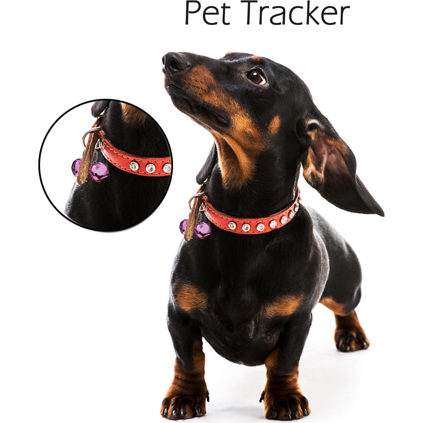 Campanas para Perros IVIA PET Rosa - Entrenamiento y Rastreo