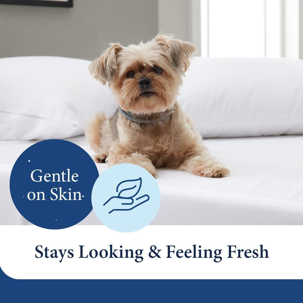 Funda de colchón Reina Cosy House Collection 100% Impermeable