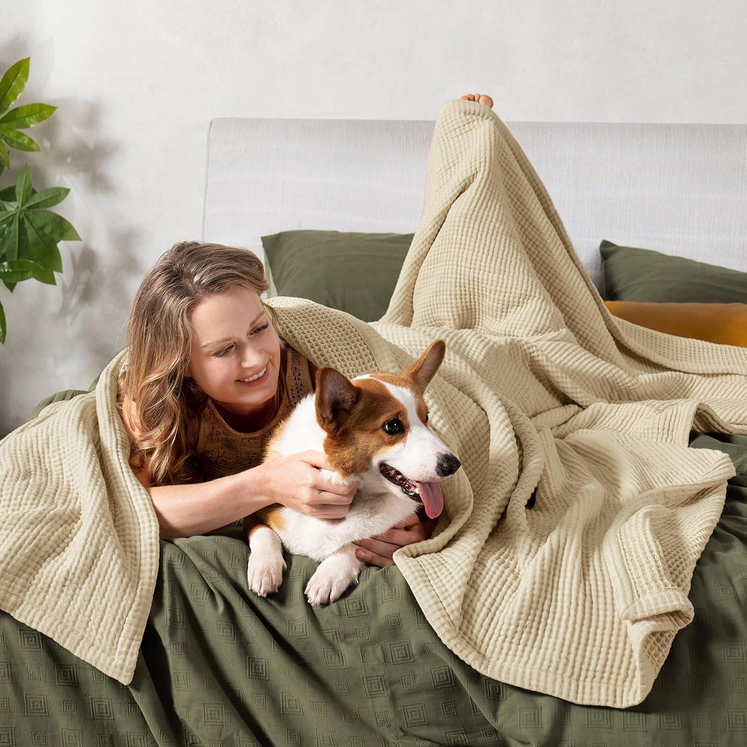 Manta King PHF 100% Algodón Reversible Suave 264x229 cm