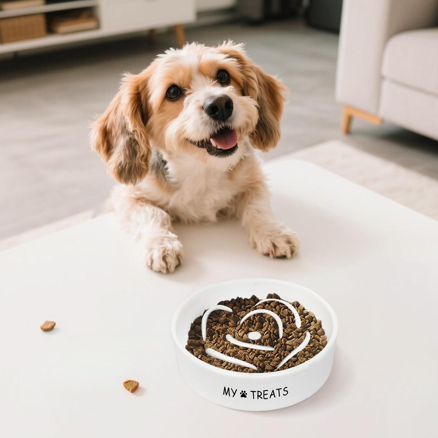 Cuenco de Cerámica para Perros Silkwishes - Alimentación Lenta 0.14L