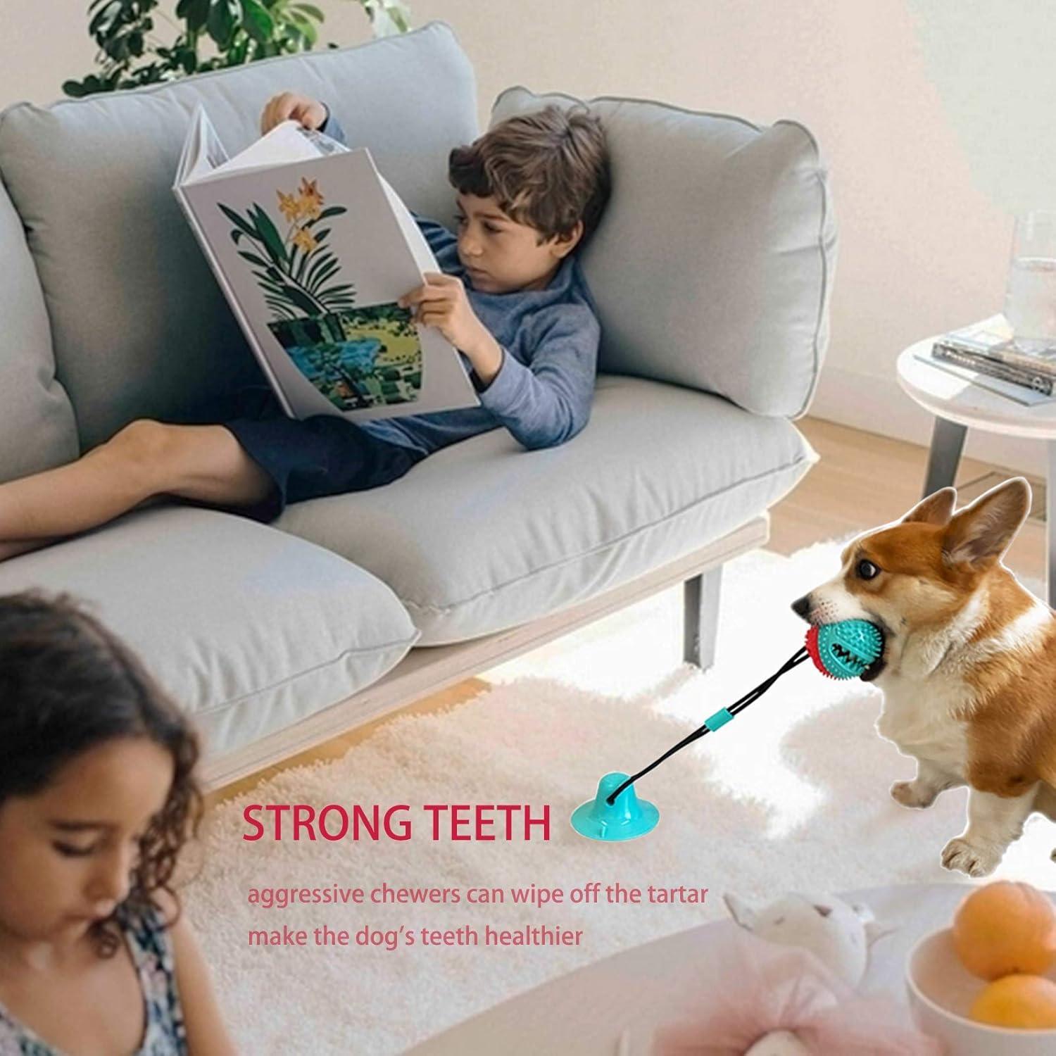 Juguete para Perros BISITE Masticar y Rompecabezas Azul