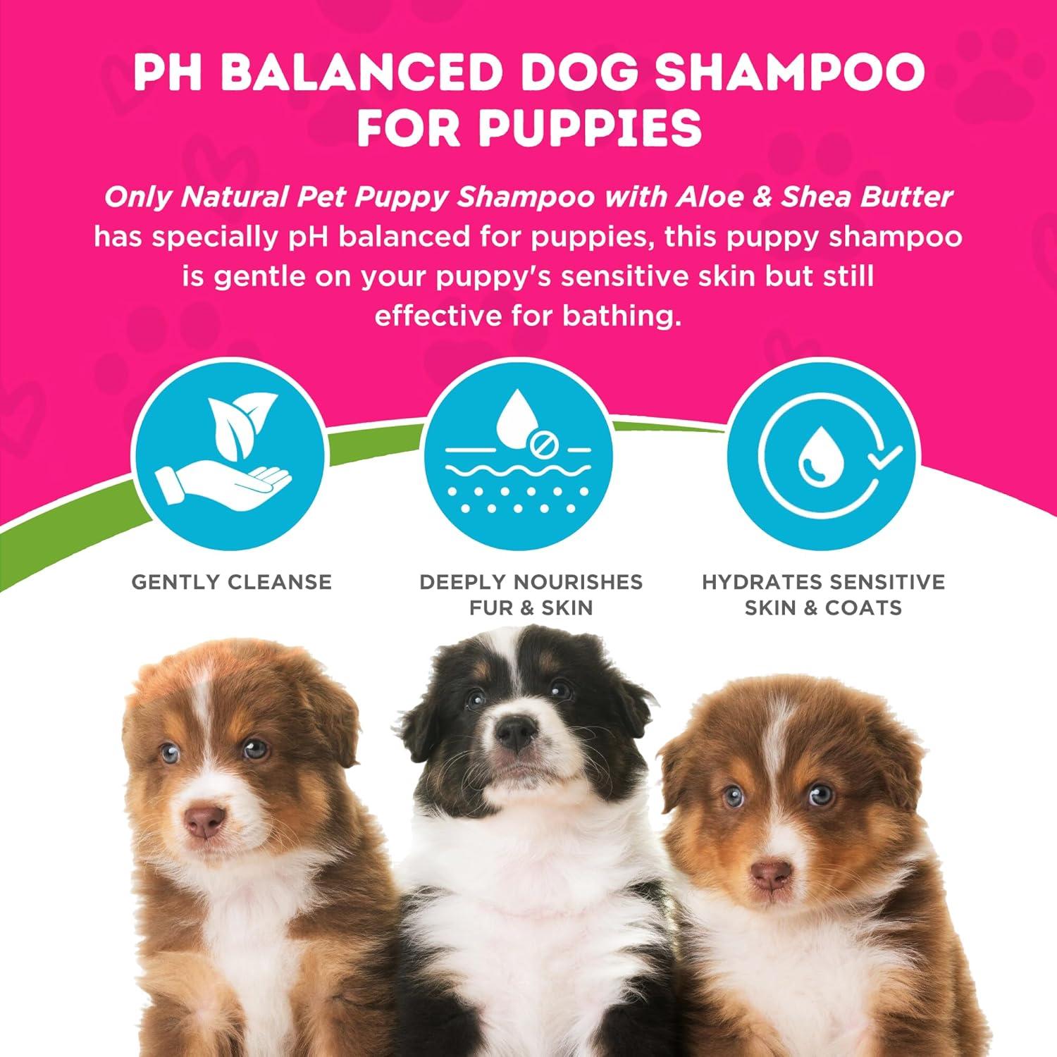 Champú 2-en-1 para Cachorros Only Natural Pet con Aloe y Karité - 478 ml