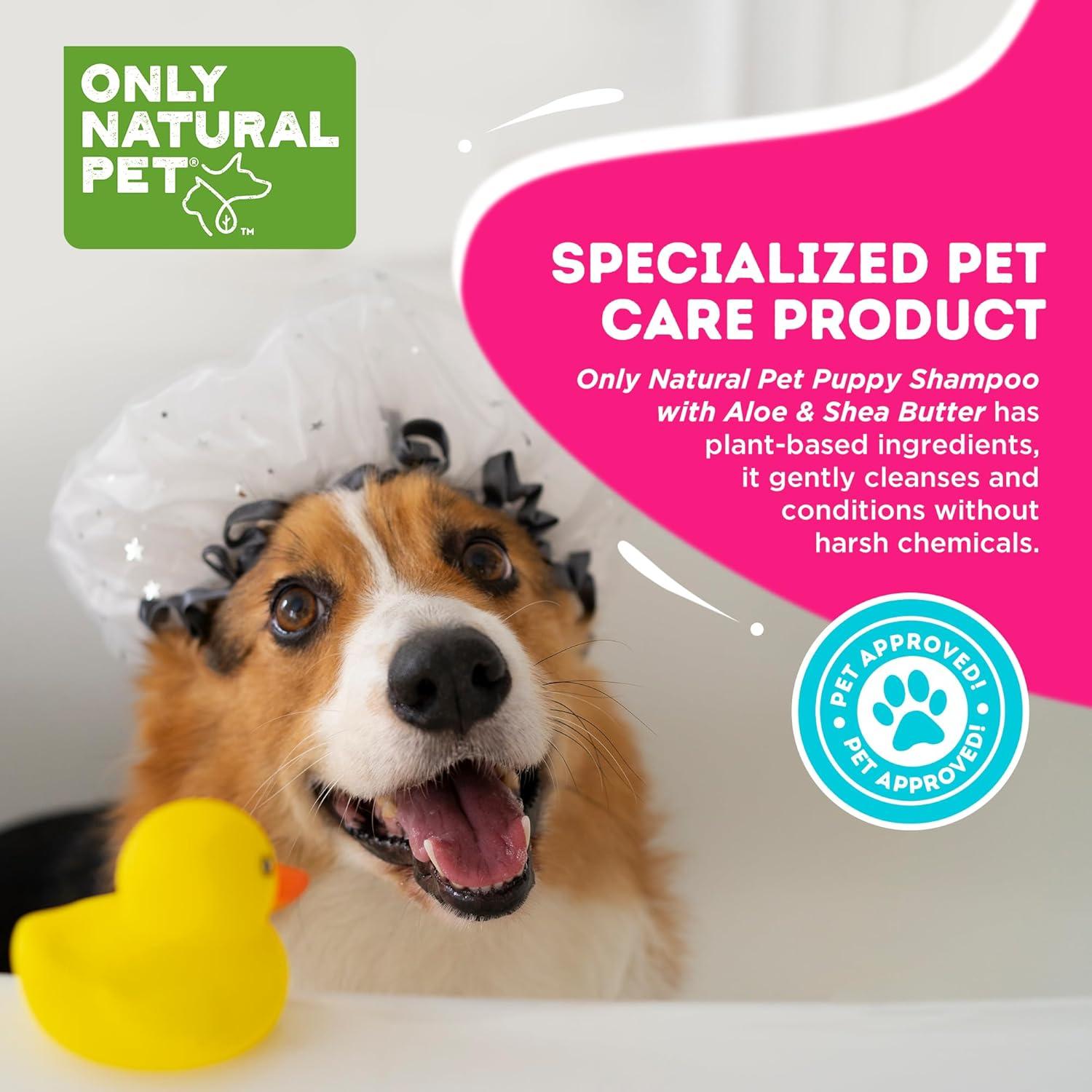 Champú 2-en-1 para Cachorros Only Natural Pet con Aloe y Karité - 478 ml
