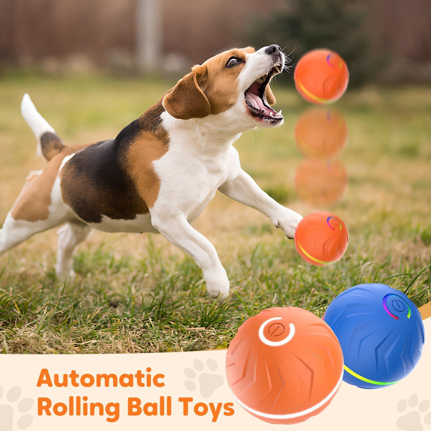 Pelota Saltarina Automática para Perros FANSUIT Verde