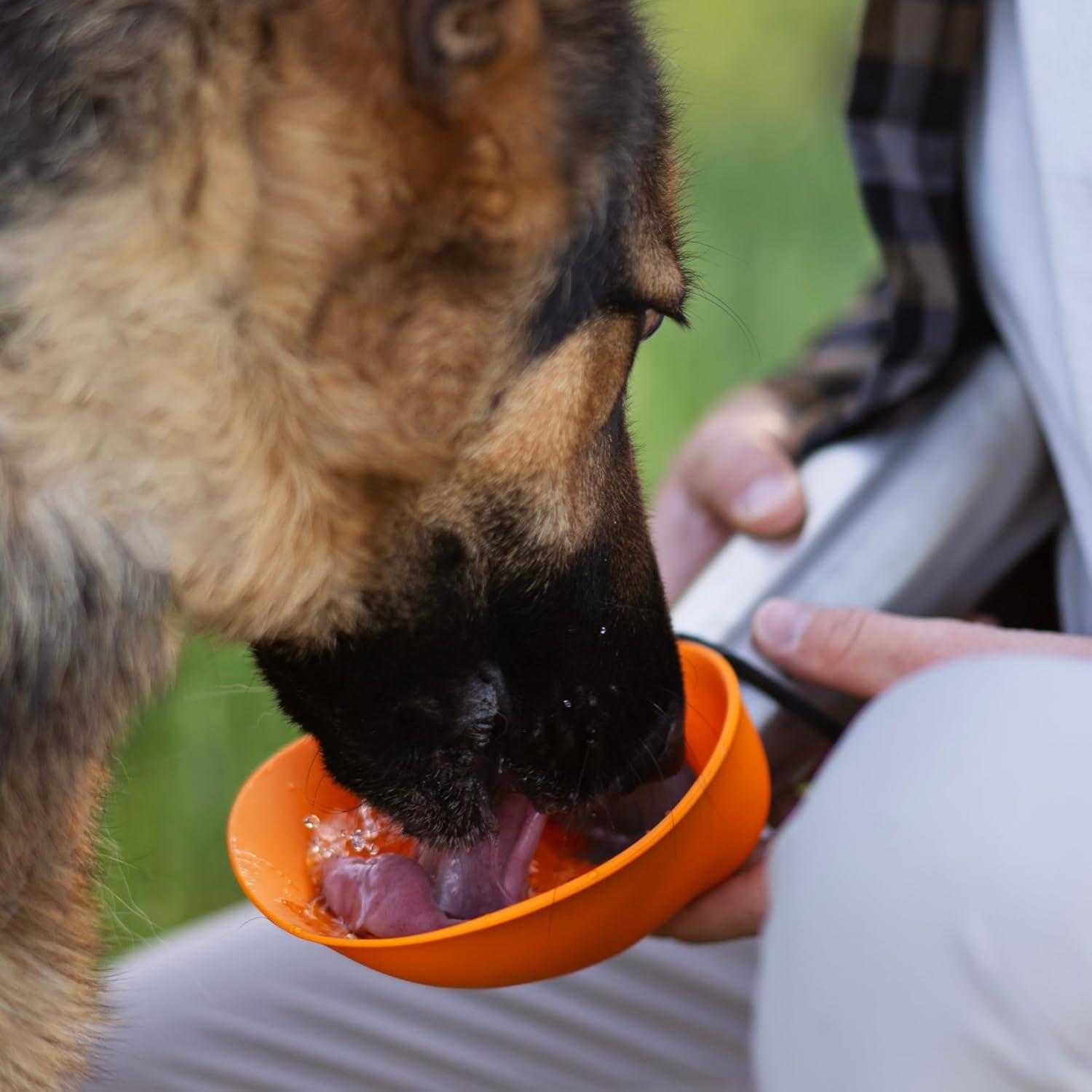 Botella de Agua Aislada Messy Mutts 600ml con Tazón Plegable