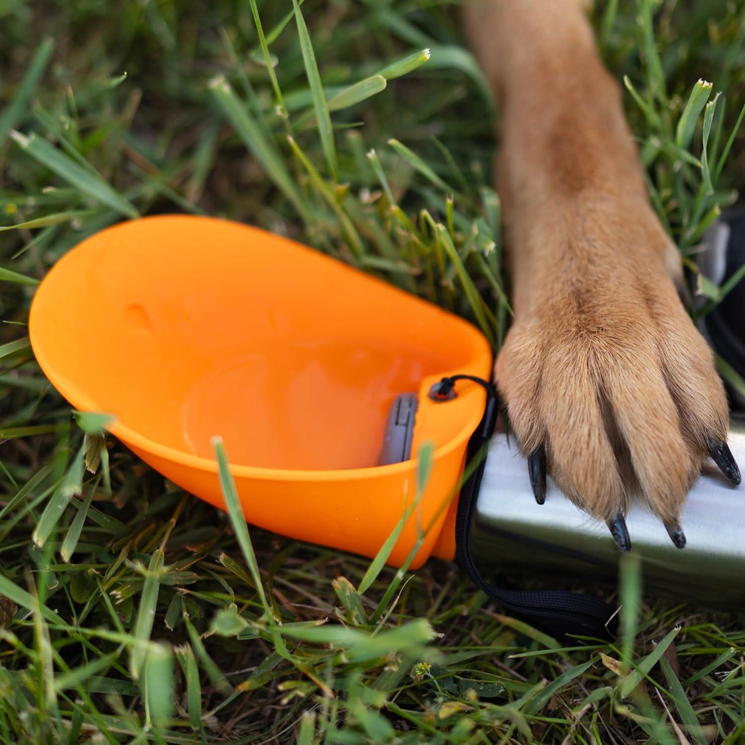 Botella de Agua Aislada Messy Mutts 600ml con Tazón Plegable