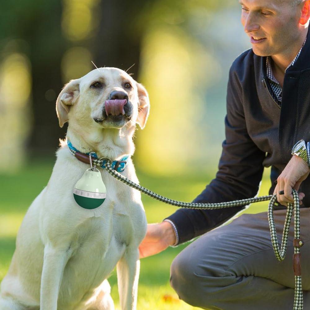 Botella de Agua para Perros DONGKER 200ml Plegable Verde