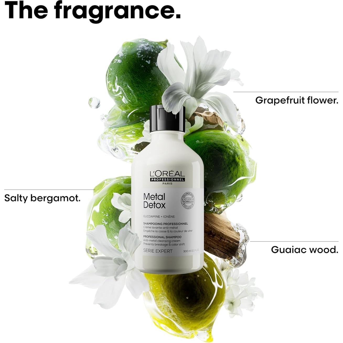 Conjunto Champú y Mascarilla Metal Detox L'Oréal Professionnel - Sin Sulfatos