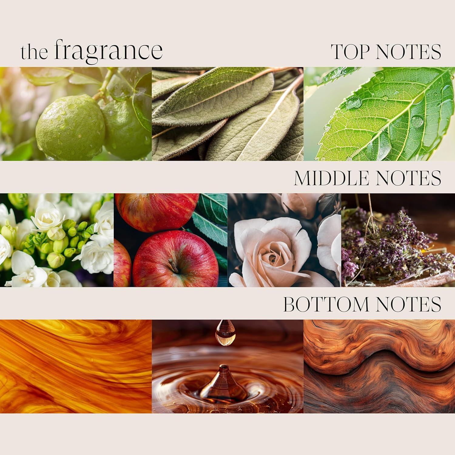 Champú Seco L'ANZA para Cabello Graso - Volumen y Limpieza 230g