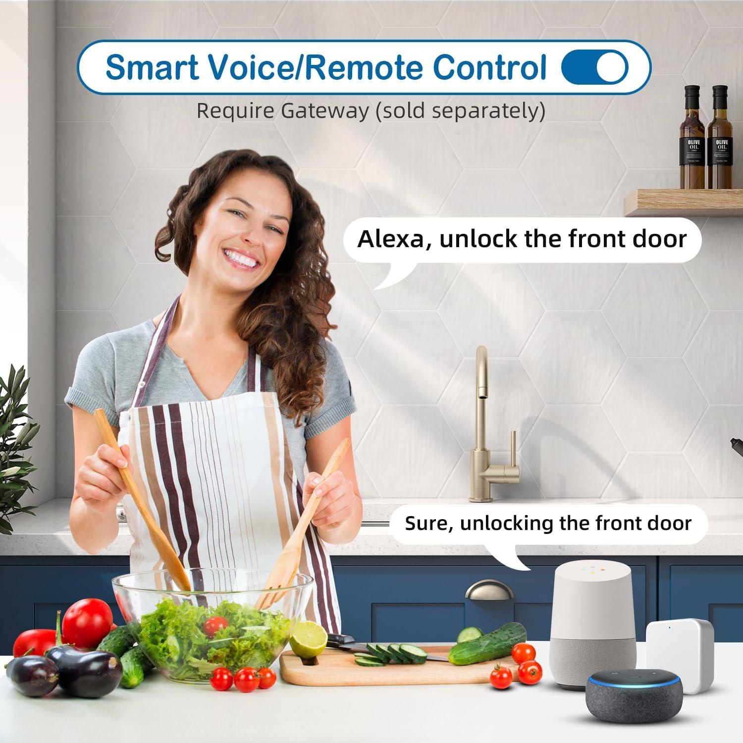 Cerradura Inteligente MSR605 con Teclado y Huella Dactilar