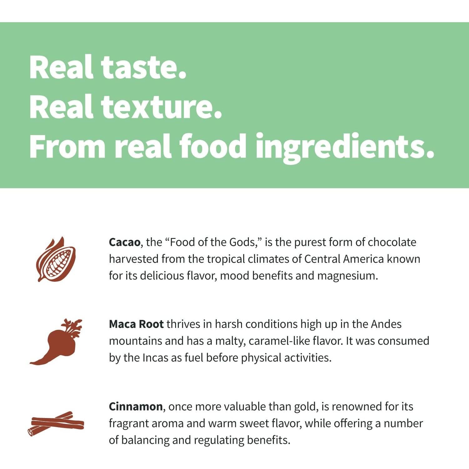 Proteína Épica Sprout Living Maca de Chocolate 0.45 kg Vegana