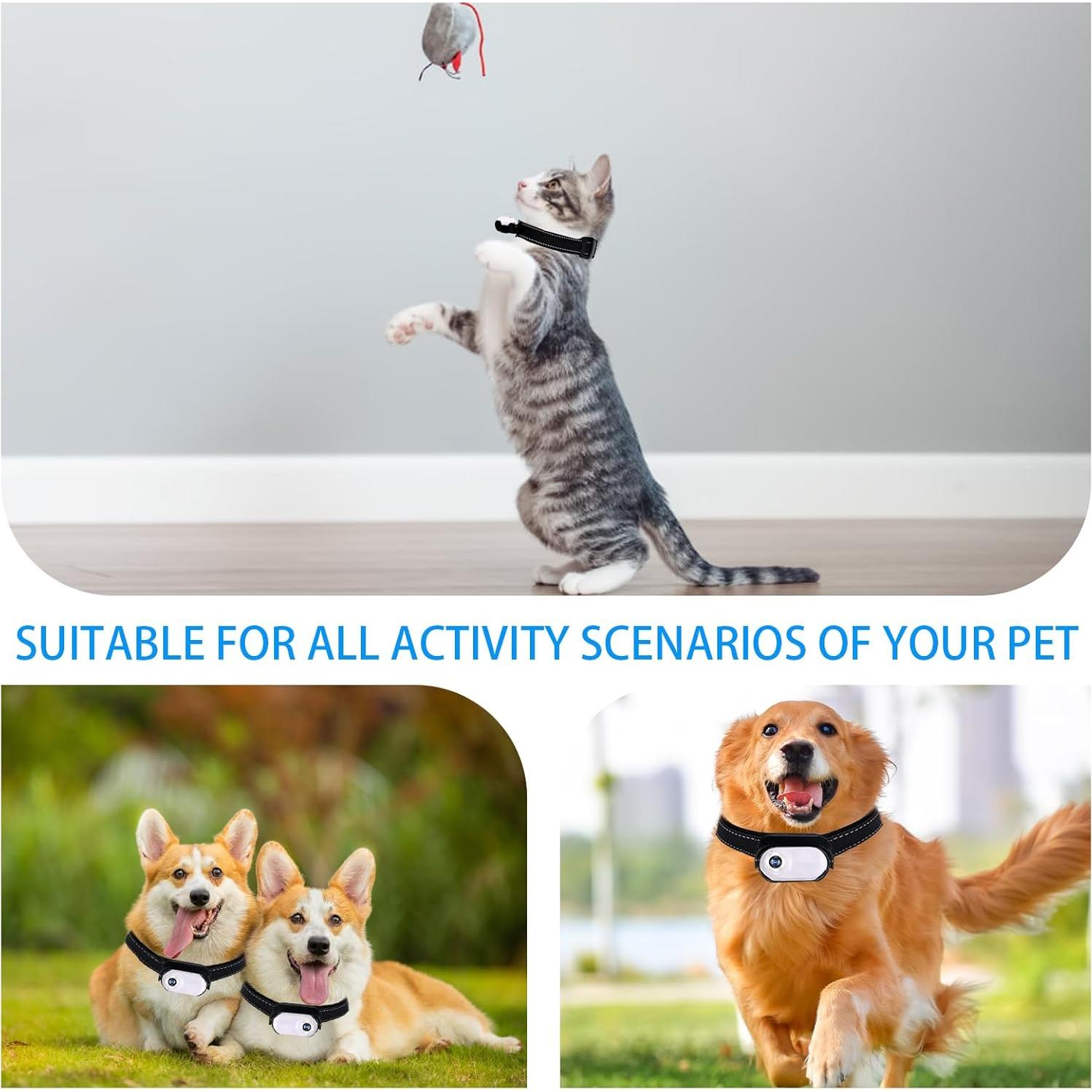 Collar Cámara Mini Pet Baby 128GB 1080P para Gatos y Perros