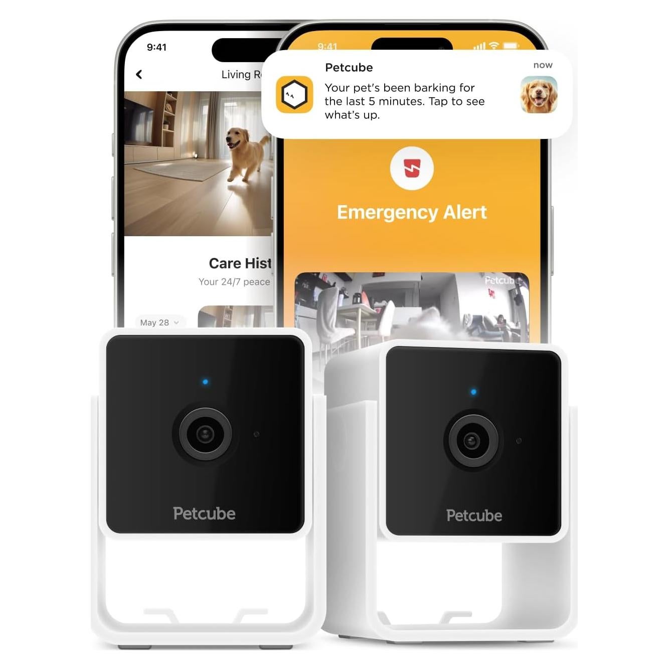 Petcube Cam Paquete de 2 | Cámara Seguridad Mascotas HD 1080p