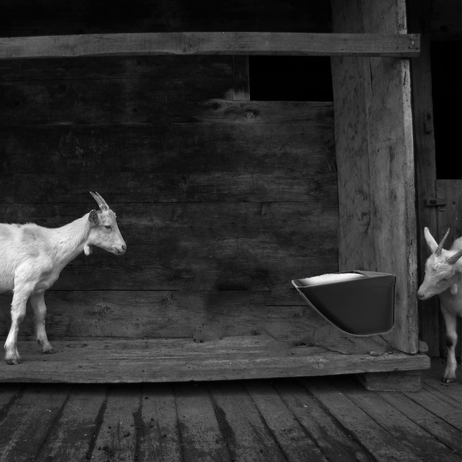 Comedero Colgante ATKSKYO para Gallinas y Ganado 3.79L