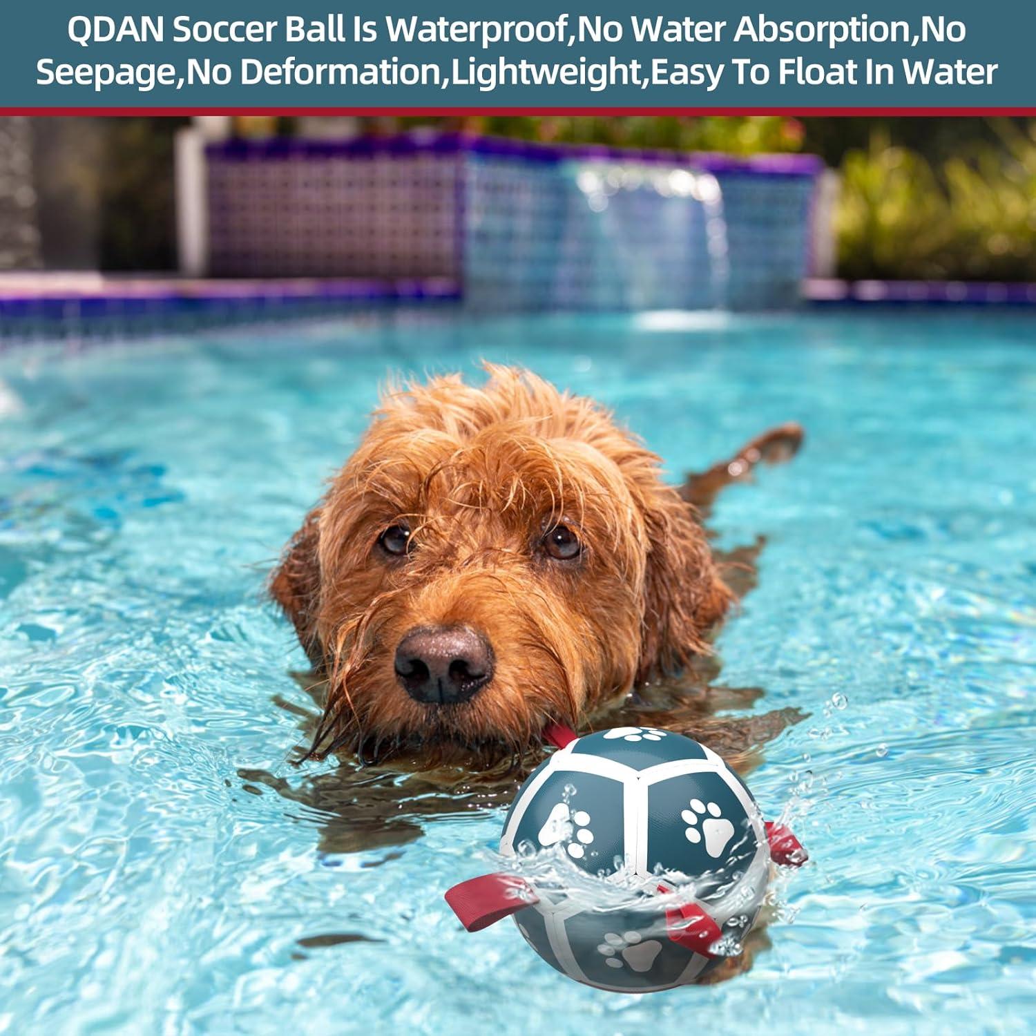 QDAN Balón de Fútbol para Perros Pequeños - Azul Rojo 12,7 cm