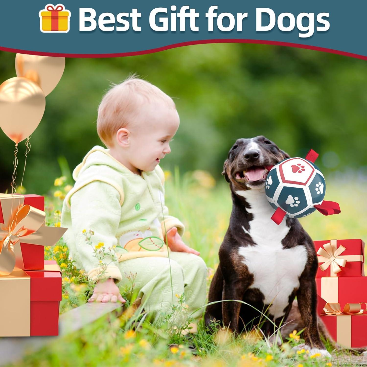 QDAN Balón de Fútbol para Perros Pequeños - Azul Rojo 12,7 cm