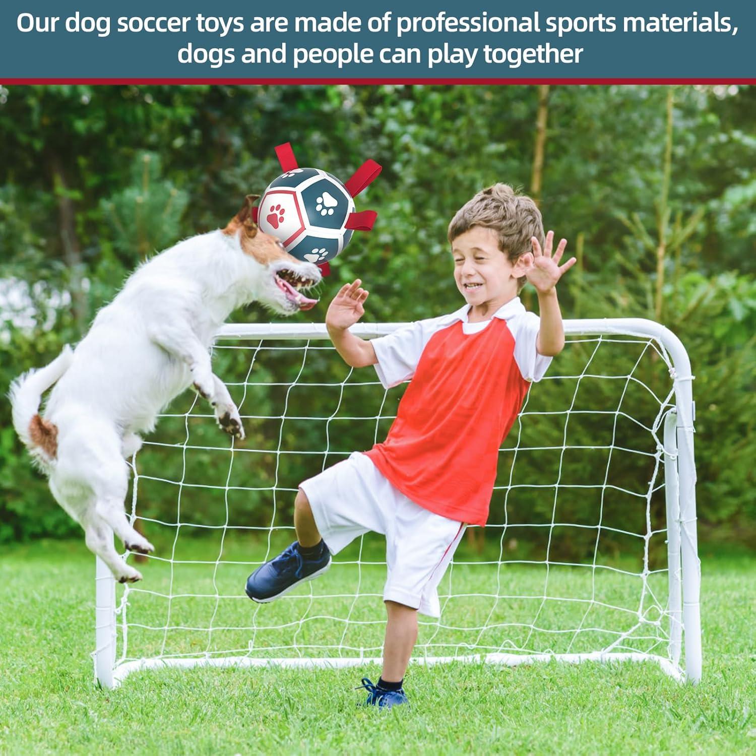 QDAN Balón de Fútbol para Perros Pequeños - Azul Rojo 12,7 cm