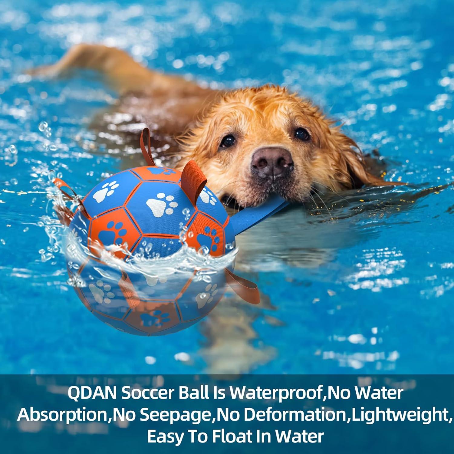 QDAN Balón de Fútbol para Perros Grande Azul Naranja